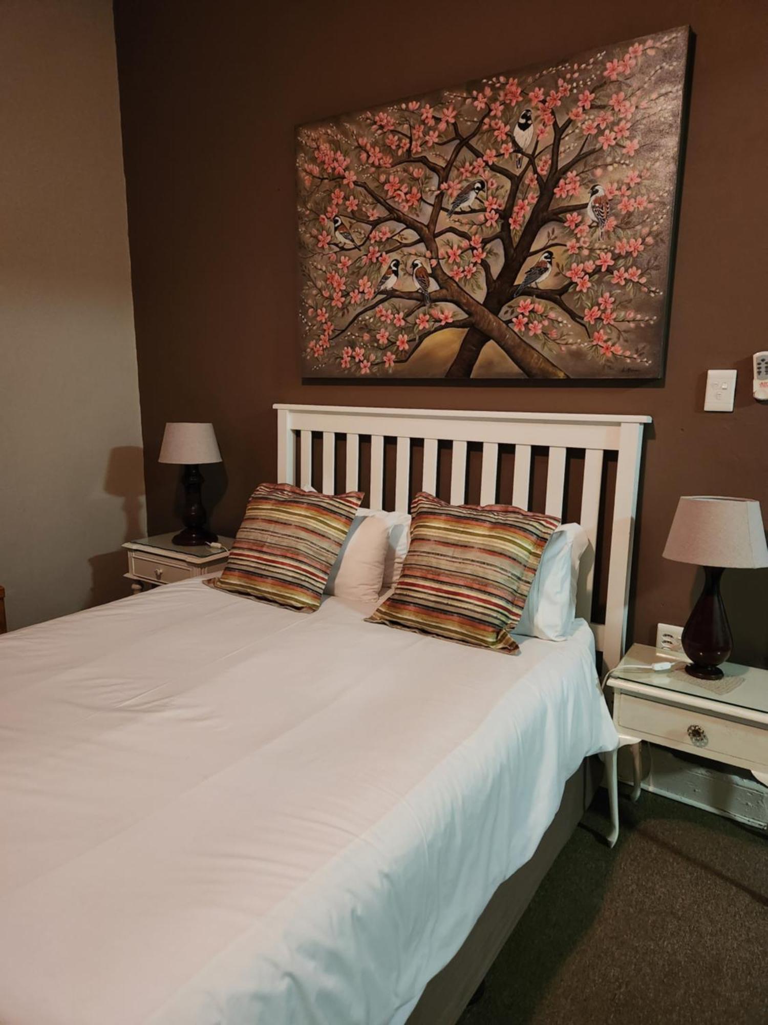 Spes Bona guesthouse Colesberg Extérieur photo